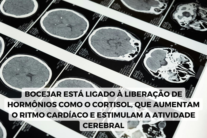 bocejar e cortisol